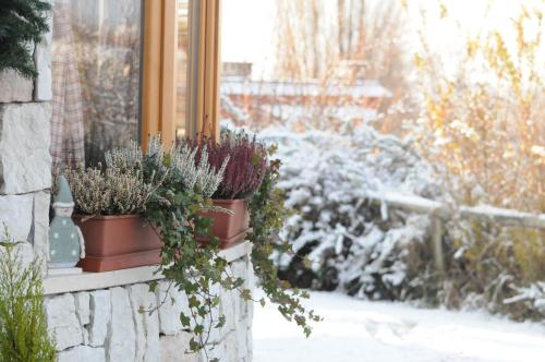 a window with potted plants on a window sill at A&B Le Terrazze del Sale' - Apartments in Trento