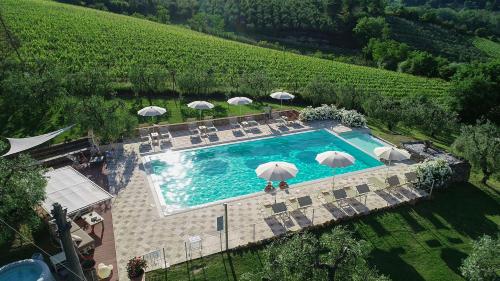 an overhead view of a swimming pool with umbrellas at Podere Bellavista in San Gimignano