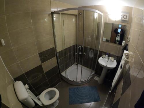 a bathroom with a shower and a toilet and a sink at Casa Adina in Sinaia