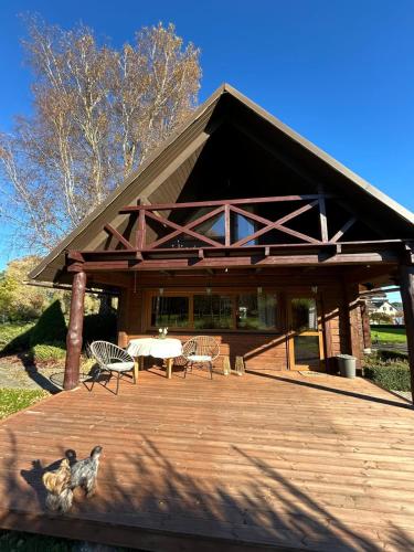 a pavilion with two dogs sitting on a wooden deck at Brīvdienu māja Mulki in Ģipka