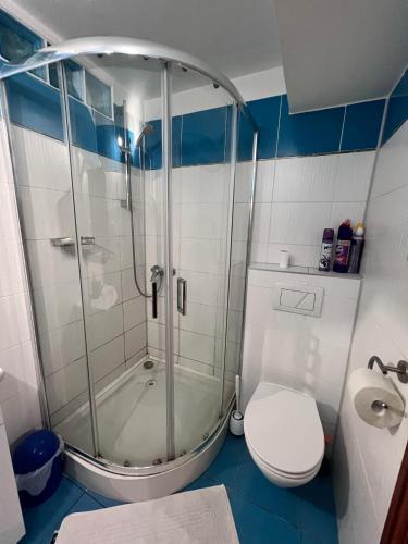 a bathroom with a shower and a toilet at Ubytovani Na Hrazi 91 in Znojmo
