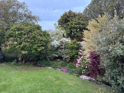 a garden with pink and purple flowers and trees at The Airport Homestay House in Christchurch