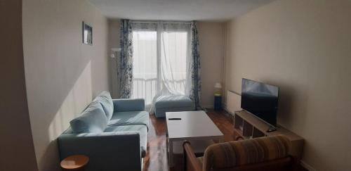 un salon avec un canapé et une télévision dans l'établissement Appartement 3 chambre 74m2, à Mulhouse