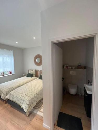 une chambre avec un lit et un lavabo dans l'établissement Colmar Centre - Le Schickele -logement climatisé, à Colmar