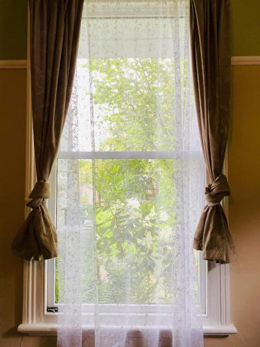 a window with a white curtain and a tree at In Dunedin's Heart, Full House, Full Sun, Full Chill, Why Stay at a Hotel When You Can Afford an Entire House in Dunedin