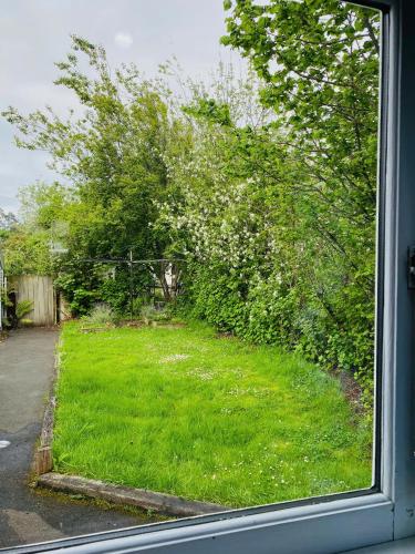 a window view of a yard with grass and trees at In Dunedin's Heart, Full House, Full Sun, Full Chill, Why Stay at a Hotel When You Can Afford an Entire House in Dunedin