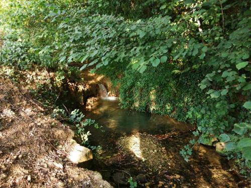 Gallery image of Domaine Moulin de Quincenat in Champagnat
