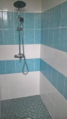 La salle de bains est pourvue d'une douche et de carrelage bleu et blanc. dans l'établissement Gite en bord de mer en Normandie, à Saint-Pierre-en-Port
