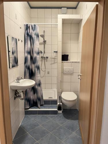 a bathroom with a sink and a toilet and a shower at Gemütliche Einliegerwohnung in Imsbach