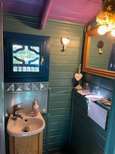 une salle de bain avec un lavabo et un miroir dans l'établissement Roulotte, pleine de charme, à Villers-sur-Authie