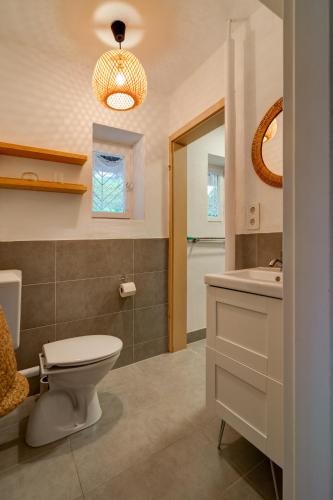 a bathroom with a toilet and a sink and a mirror at Beheizter Whirlpool und Panoramafenster vom Bett ins Grüne! in Kassel