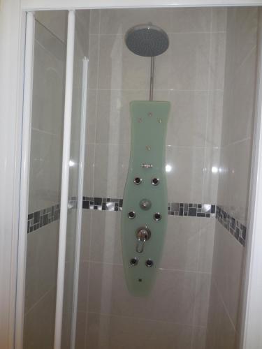 La salle de bains est pourvue d'une douche à tête verte. dans l'établissement Appartement agréable, à Grenoble