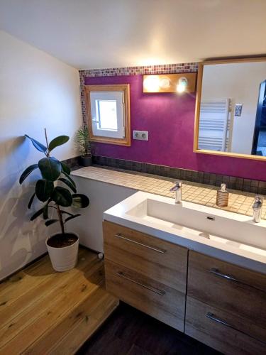 La salle de bains est pourvue d'un lavabo et d'une plante en pot. dans l'établissement Villa Bien être, à La Moutonne