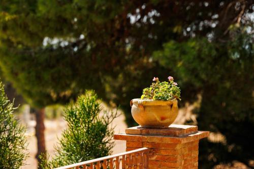 a potted plant sitting on a brick wall at La Terrazza sul Mare in Eraclea Minoa