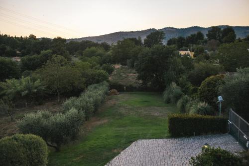 a view of a garden with trees and bushes at Le Cerqueta in Castel Madama