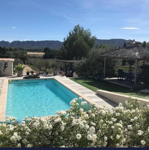 - une grande piscine dans une cour avec un jardin dans l'établissement Villa aloha, à Saint-Rémy-de-Provence