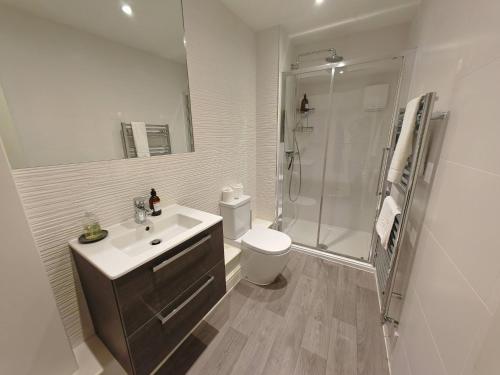 a bathroom with a sink and a shower and a toilet at Historic Winchester Apartment in Winchester