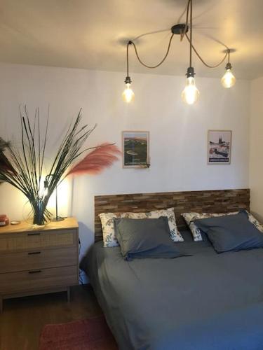 een slaapkamer met een bed, een dressoir en verlichting bij la maison d' antoine 2 in Chamalières