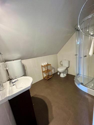 WalneにあるGościniec Wigry 1のシャワー、洗面台、トイレ付きのバスルーム