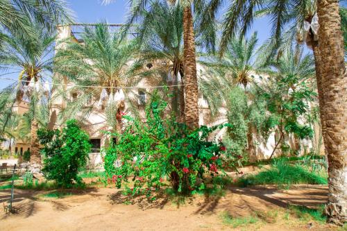a group of palm trees in front of a building at Résidence El Arich in Tozeur