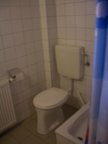 a bathroom with a toilet and a bath tub at Gästedorf Waldheimat in Langenwang