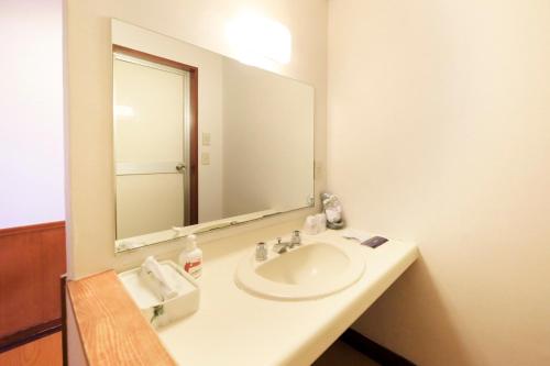 a bathroom with a sink and a large mirror at Lakeland Hotel Mizunosato in Fujikawaguchiko