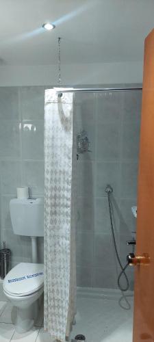 a bathroom with a shower curtain and a toilet at Seaside Studios in Paralia Dionysiou