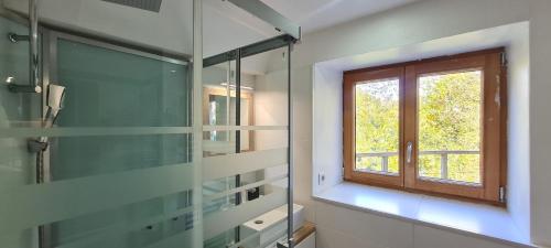 La salle de bains est pourvue d'une douche en verre et d'une fenêtre. dans l'établissement CHALET COOP - B - 6 Pers, à Les Deux Alpes