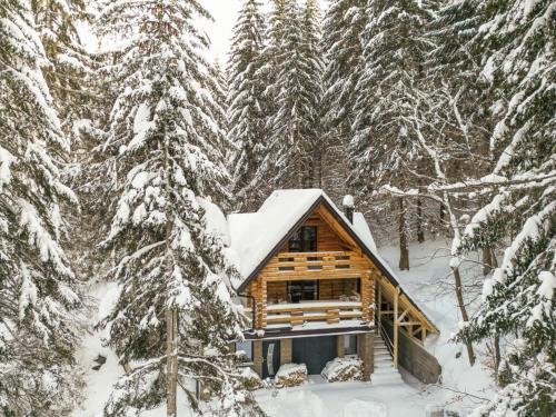 a log cabin in the woods in the snow at Casa Montana in Kopaonik