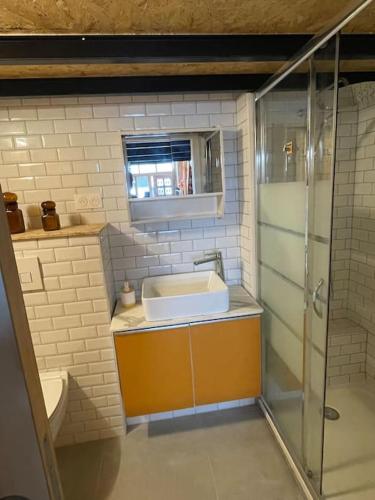 a small bathroom with a sink and a shower at Studio Le Picardy, déco rétro in Le Crotoy