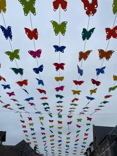 a bunch of butterflies are flying in the sky at Studio Le Picardy, déco rétro in Le Crotoy