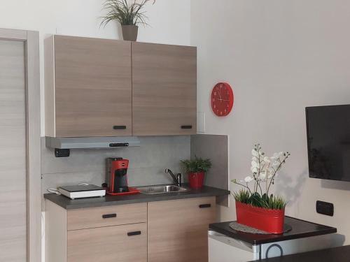 a kitchen with a sink and a counter with plants at B&B GoodDay Roma Tor Vergata in Tor Vergata