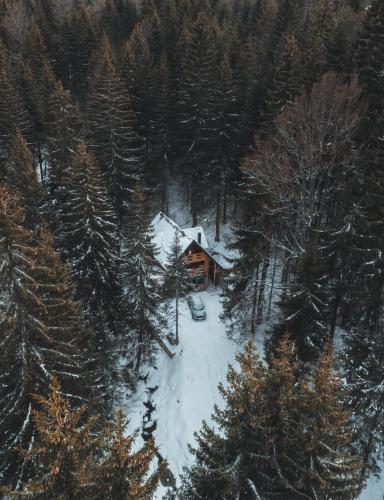 a cabin in the middle of a snow covered forest at Casa Montana in Kopaonik