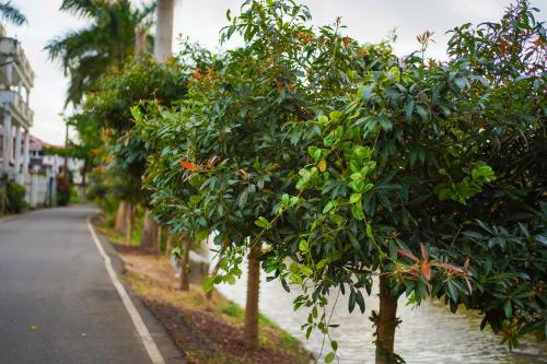 アパートメントの近くで見られる自然の景観