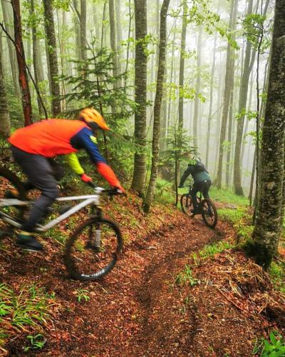 two people riding bikes on a trail in the woods at Jozin put -planinska kuća in Blidinje