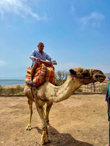 a man riding on a camel in the desert at Lunja Village - Agadir in Taghazout