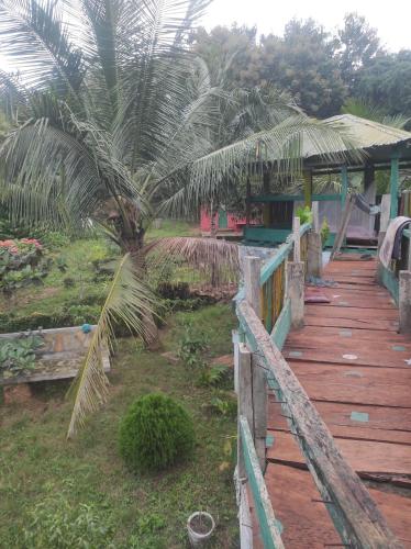a wooden walkway leading to a house with a palm tree at La montagne verte in Palimé