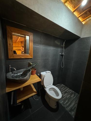 a bathroom with a toilet and a sink and a mirror at Oemah Kangin Homestay in Amed