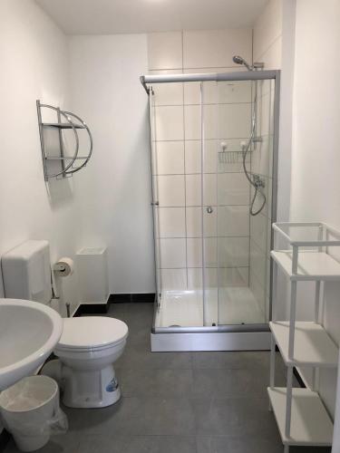 a bathroom with a shower and a toilet and a sink at Monteurwohnungen in Andervene in Andervenne Oberdorf