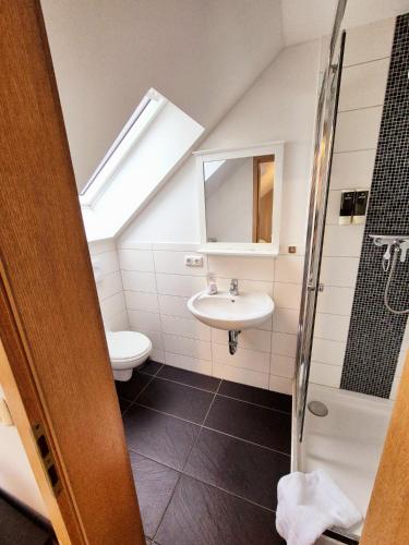 a bathroom with a sink and a toilet at Mühlenberg Hof in Wolfsburg