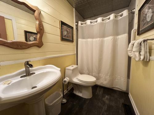 ein Badezimmer mit Waschbecken und Toilette in der Unterkunft A Magical Experience in Pigeon Forge