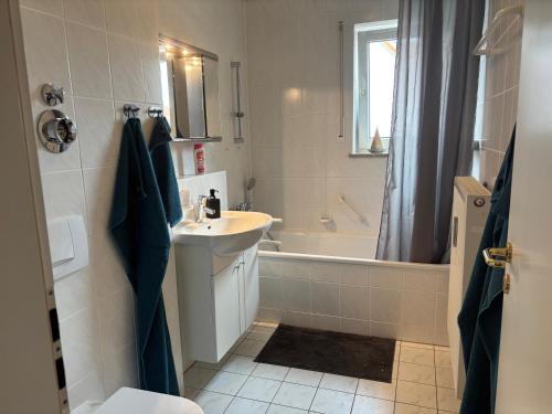 a bathroom with a sink and a tub and a toilet at Apartment im Elbtal Meißen-Dresden in Meißen