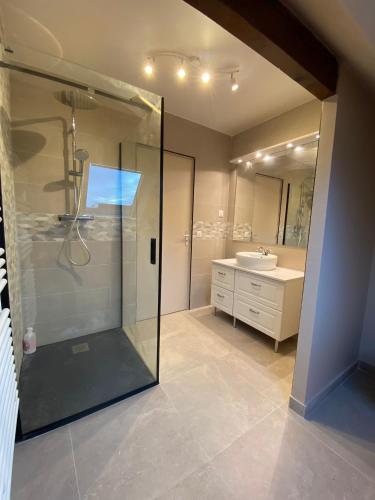 une salle de bain avec douche et lavabo dans l'établissement Spacious home near Disneyland, à Chanteloup-en-Brie