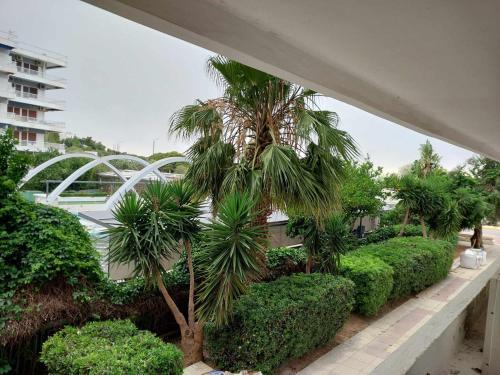 a palm tree in front of a building with bushes at Studio By the Beach in Saronida