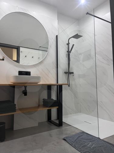 une salle de bain avec une douche, un lavabo et un miroir dans l'établissement Gites L'atelier 1410, à Saint-Amand-les-Eaux