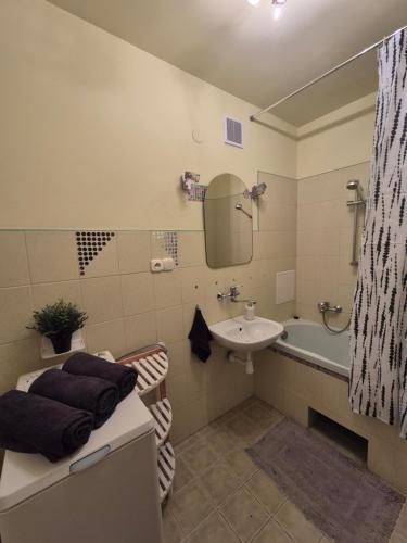 Bilik mandi di Apartament Zduńska