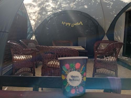 Φωτογραφία από το άλμπουμ του Casa Rustica σε Mamaia Nord – Navodari