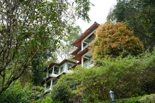 a house on the side of a hill with trees at Blackberry Hills Munnar Nature Resort & Spa in Munnar