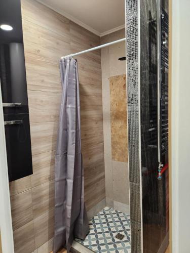 a shower with a glass door in a bathroom at Noclegi Gracja in Wałbrzych