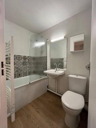 une salle de bain avec toilettes et lavabo dans l'établissement Studio Grand Stemm Pla d'Adet, à Saint-Lary-Soulan
